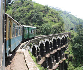 Shimla